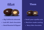 Dark Chocolate-Covered Almonds F9