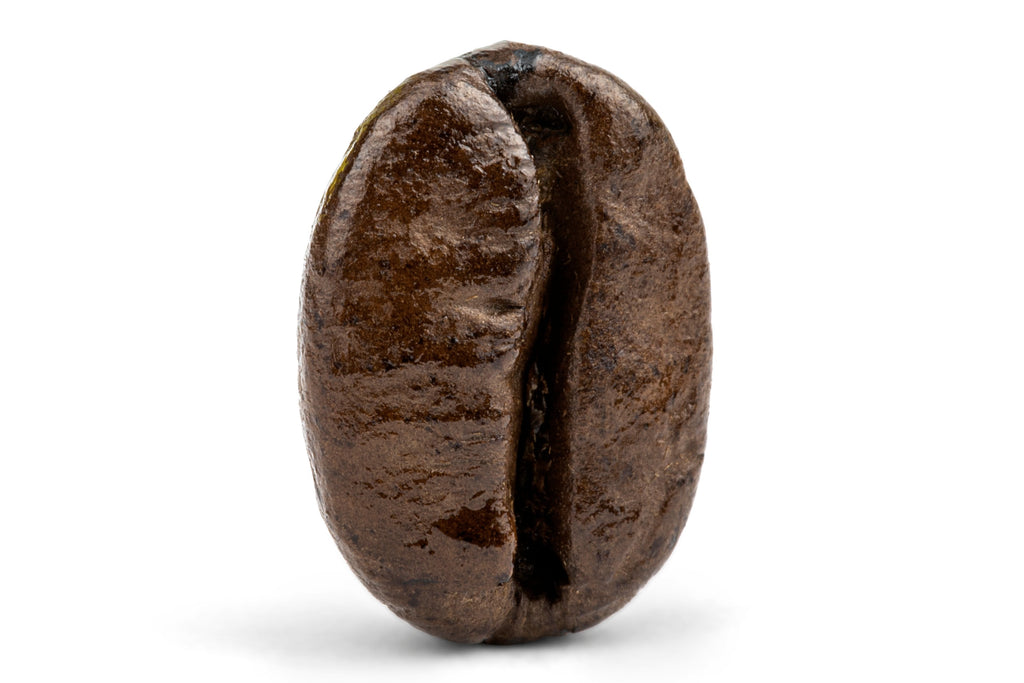 Decaf Colombian Medellin Supremo Coffee U8