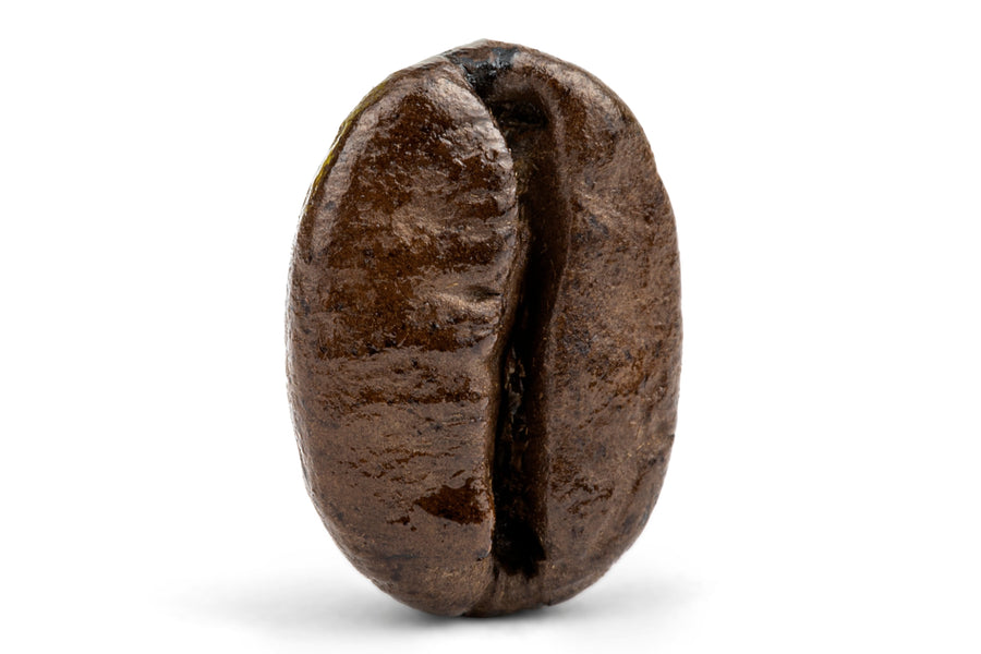 Decaf Colombian Medellin Supremo Coffee U8