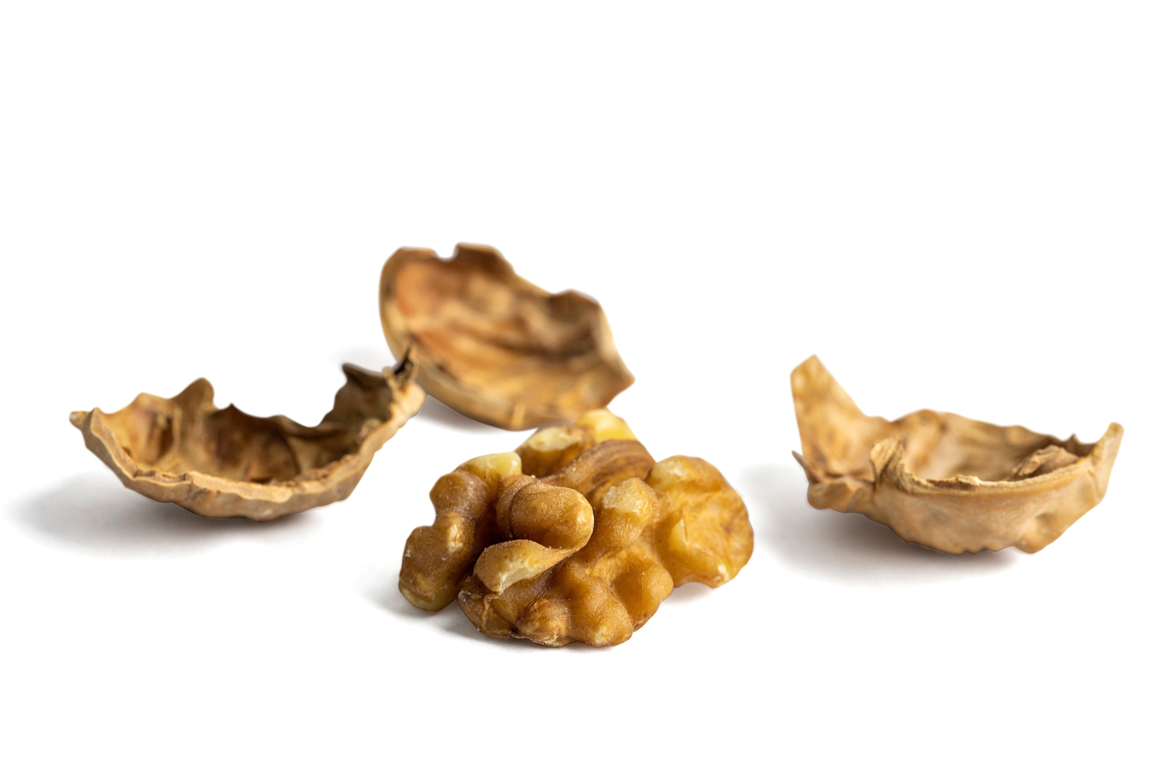 English Walnuts (In Shell) E3