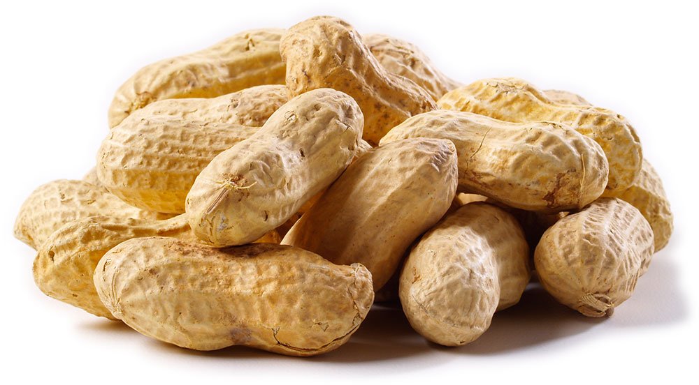 Jumbo Raw Peanuts (In Shell) E3