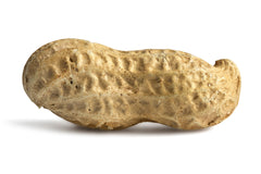 Jumbo Raw Peanuts (In Shell) E3