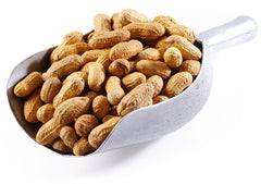 Jumbo Raw Peanuts (In Shell) E3