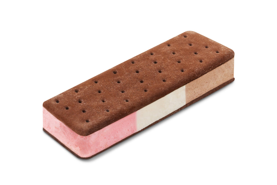 Neapolitan Freeze Dried Ice Cream E2