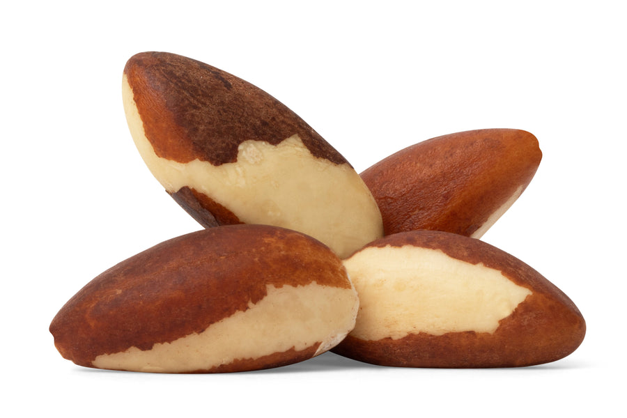 Organic Brazil Nuts (Raw, No Shell) V8