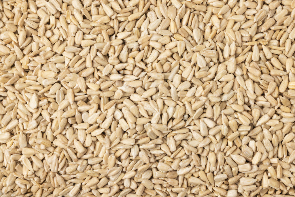 Organic Domestic Sunflower Seeds (Raw, No Shell) V0