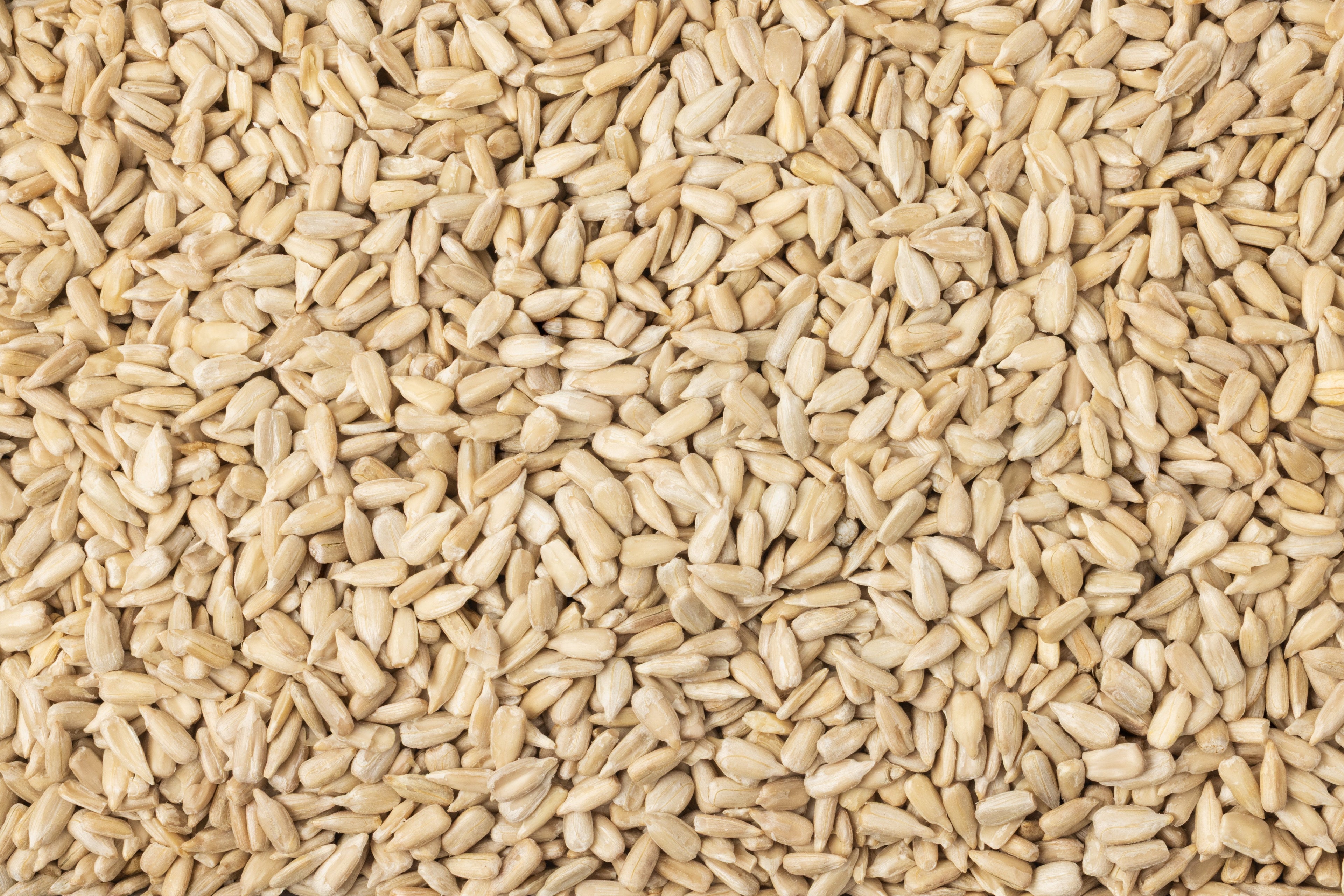 Organic Domestic Sunflower Seeds (Raw, No Shell) V0