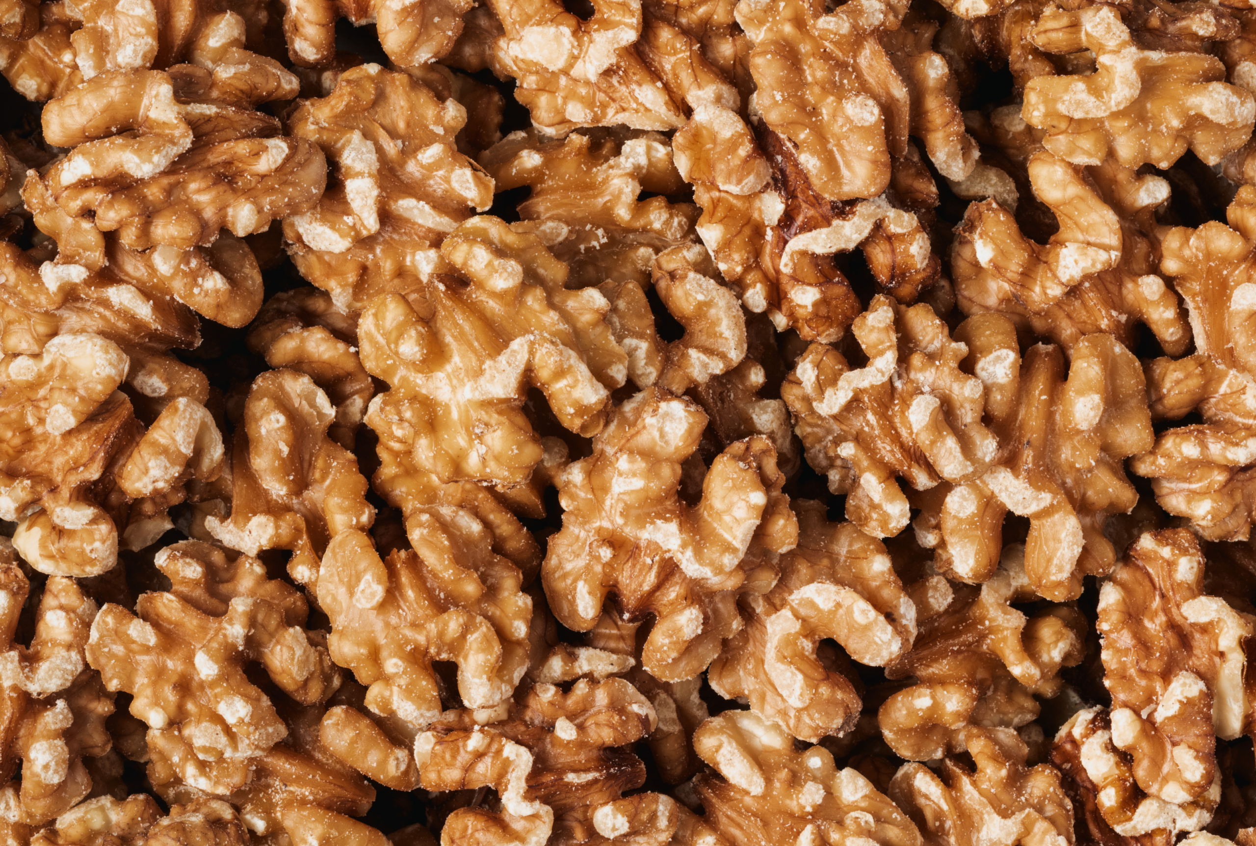 Organic Walnuts (Raw, No Shell) N5