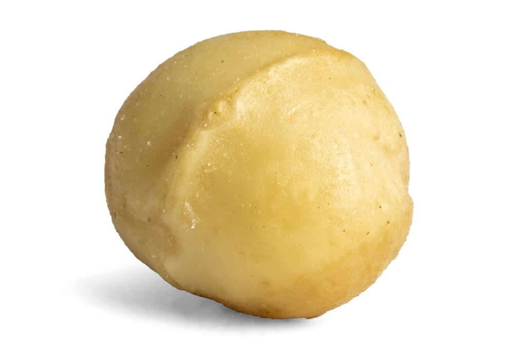 Roasted Macadamia Nuts (Salted) X0