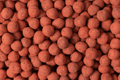 Strawberry Dusted Dark Chocolate Covered Hazelnuts P9